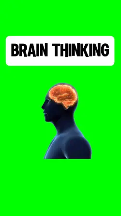 BRAIN THINKING