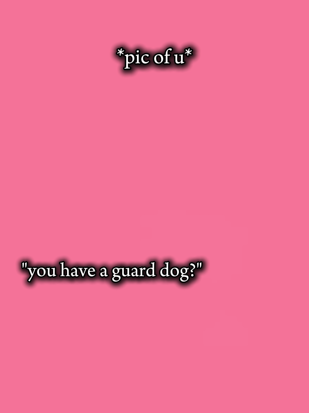 Perro guardián