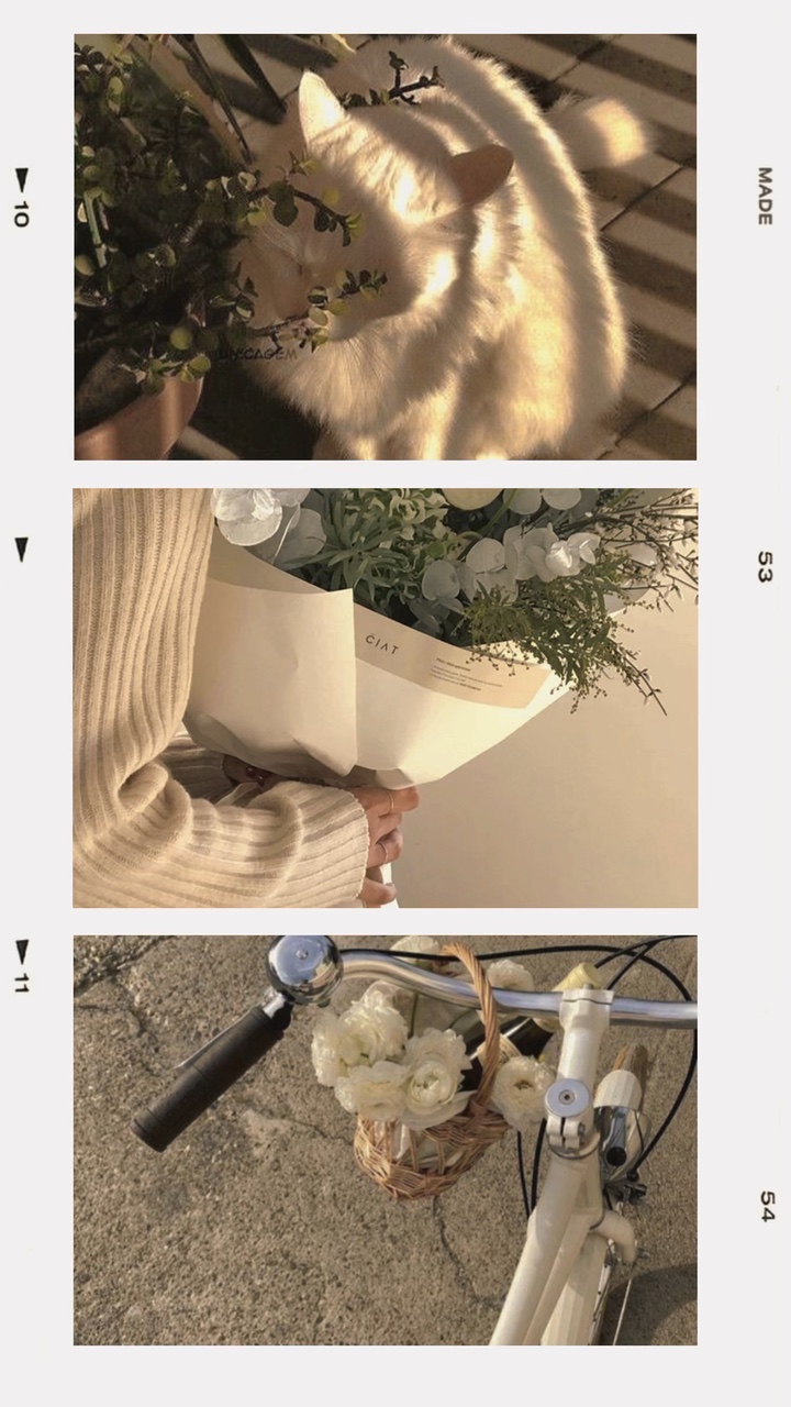 프레임 3 foto