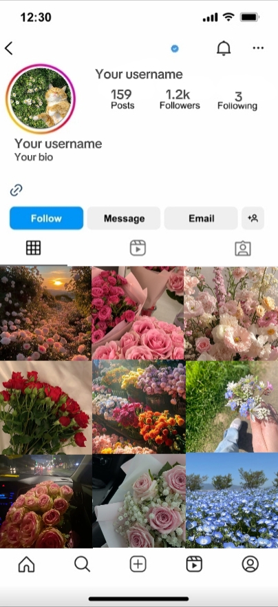 Perfil de Instagram