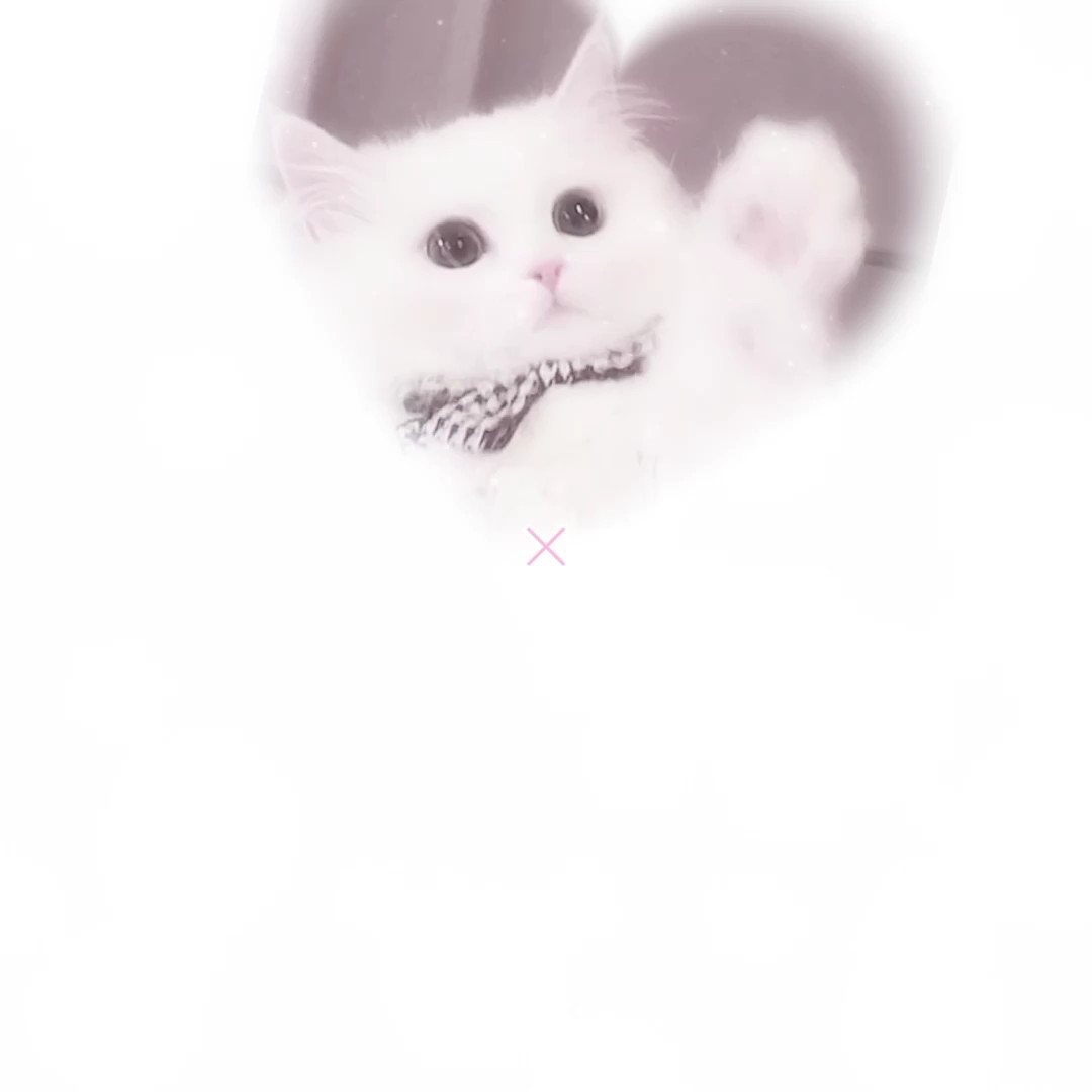 ꒰ঌ リップサービス ໒꒱