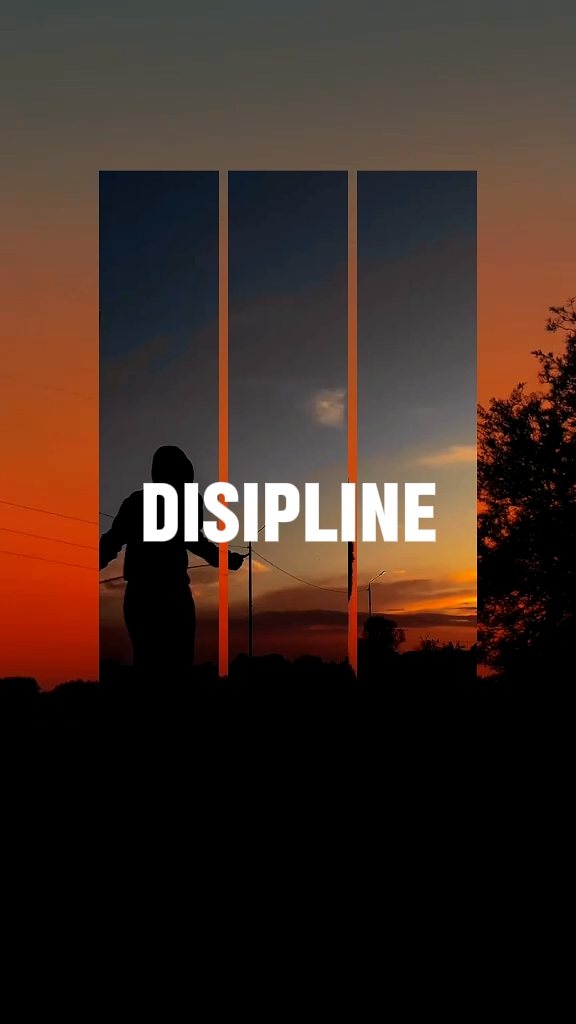 disipline