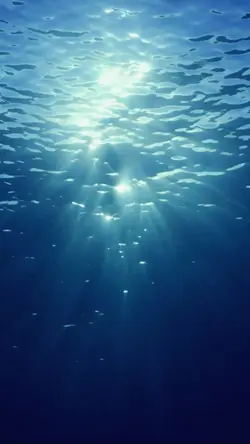 WATER WORLD