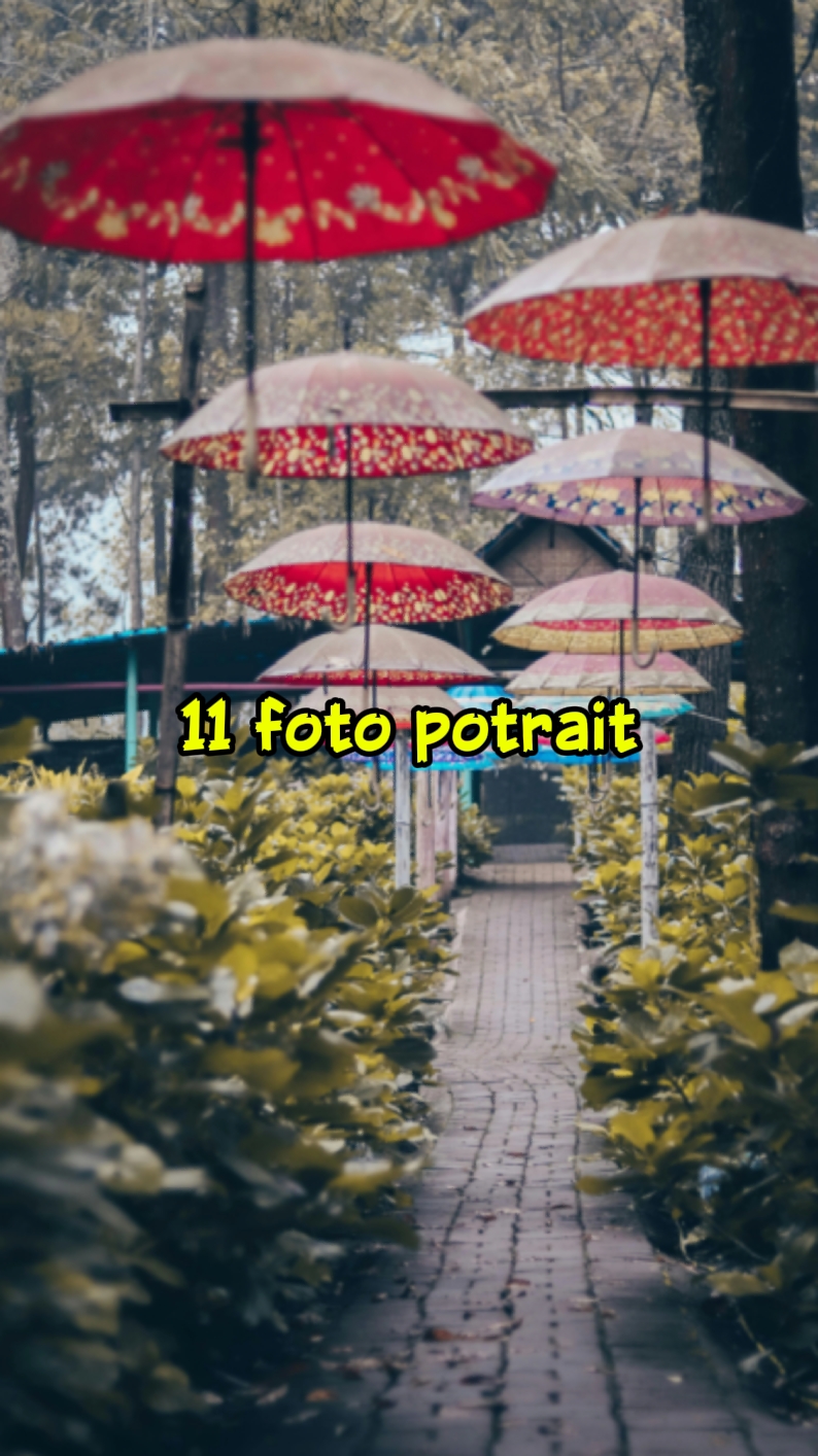 11 foto potre