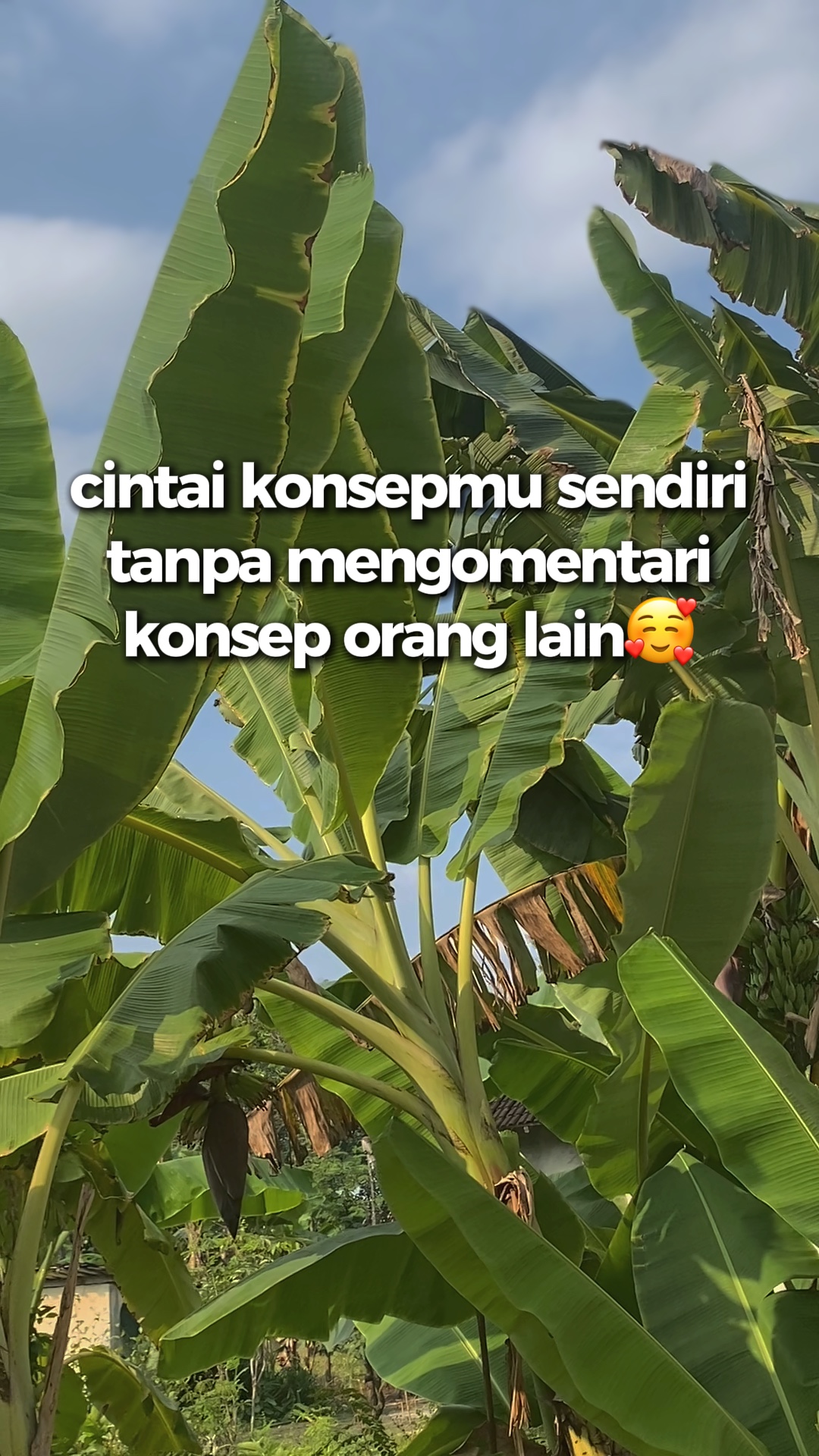 Trend Motormu HDBlur