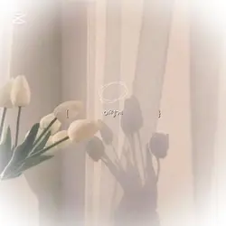 이렇게 ㅈ된적은 처음이에요