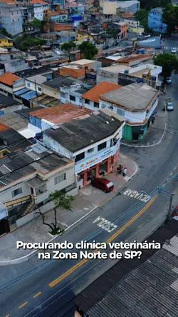 Clínica Veterinária 