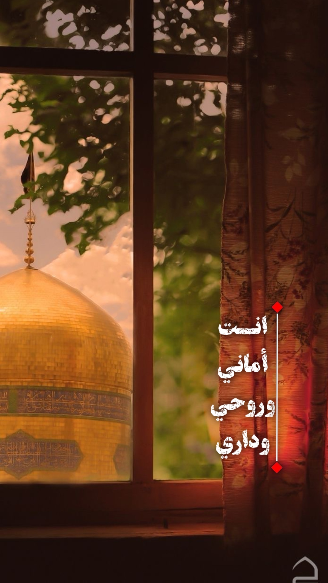 أنت أماني وروحي 💔