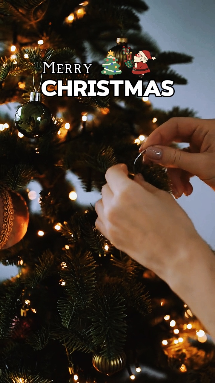 Feliz Navidad🎅🎄