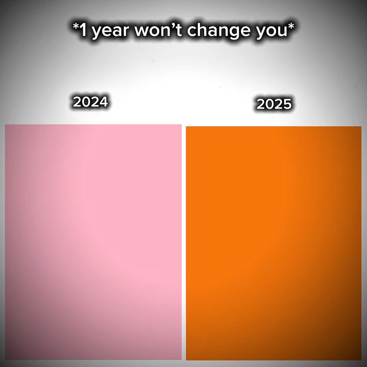 1 Jahr Veränderung