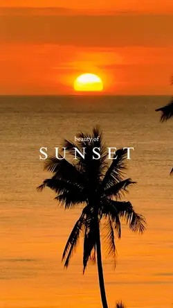 video sunset estetek