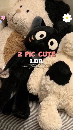 2 pic cute 