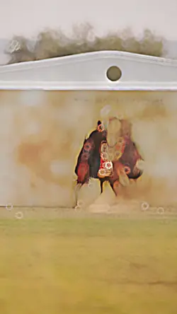 Super SLOWMO PRO