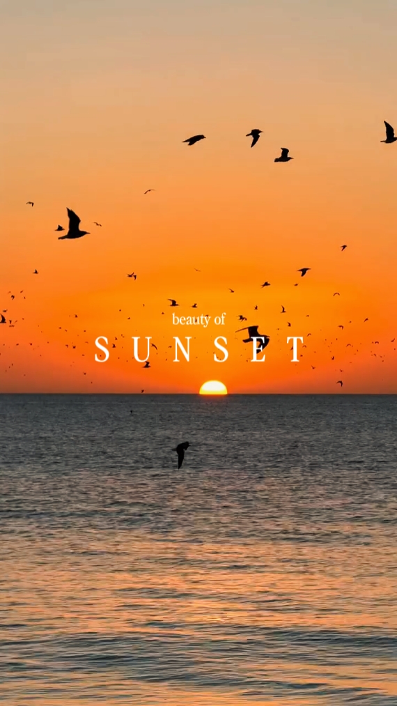 Belleza de la puesta de sol