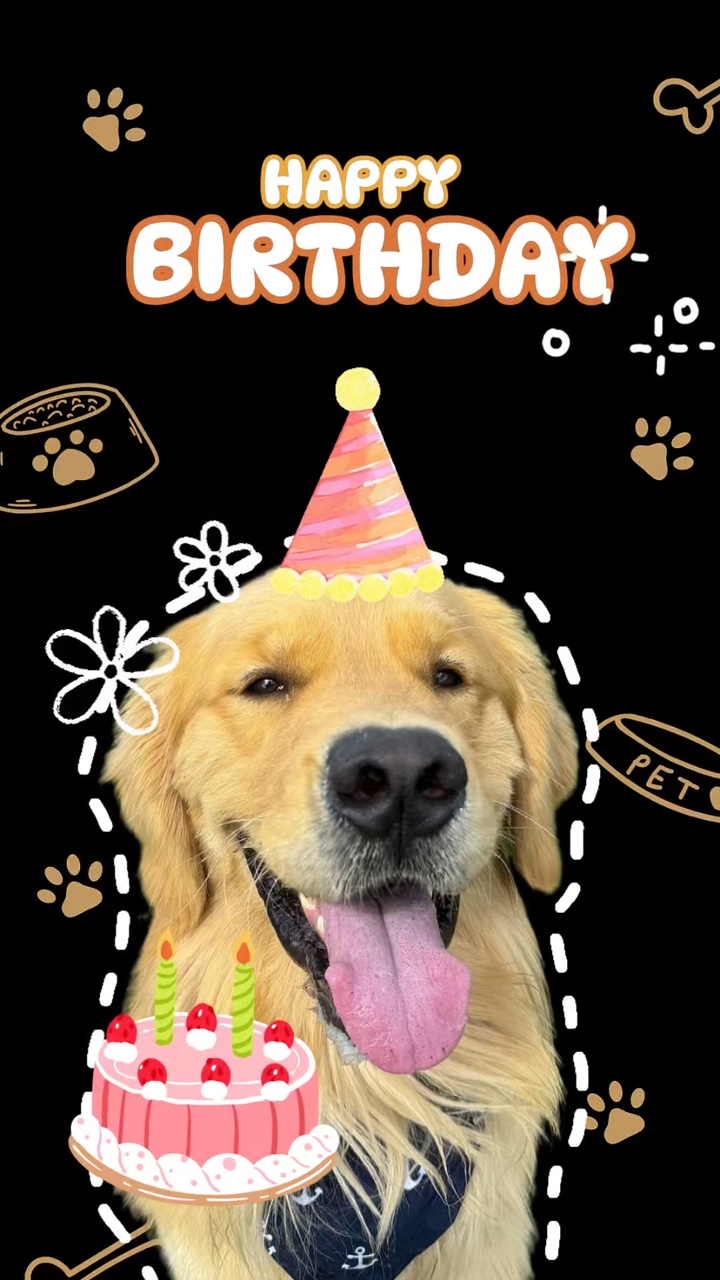 Birthday my dog