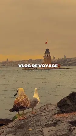 vlog dr voyage