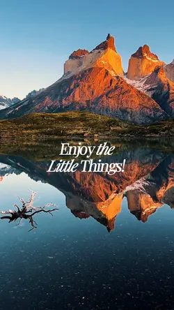 Enjoy moments
