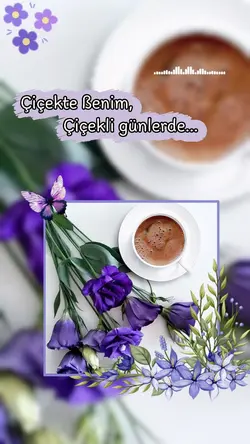 Viral Şablon