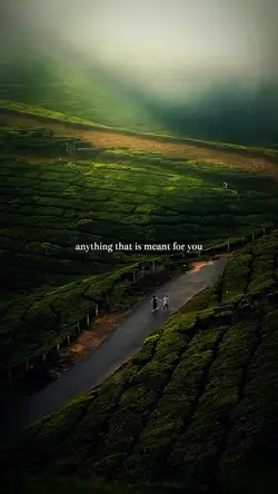 Positive Mindset❤️