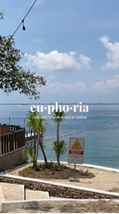 euphoria