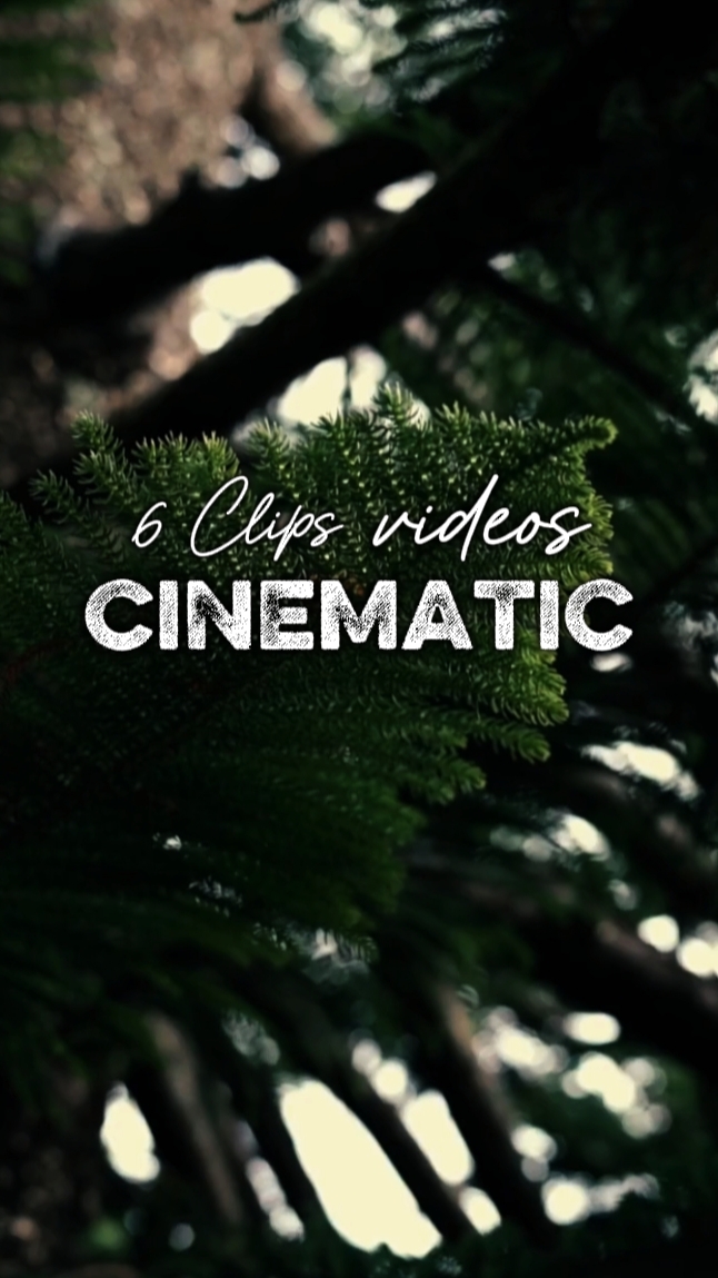 6 CLIPS CINEMATIC