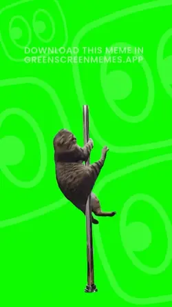 cat pole dancing
