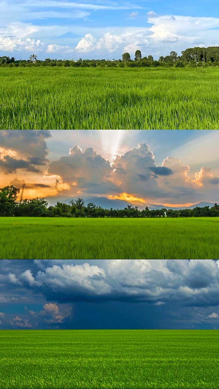 3 fotos estéticas