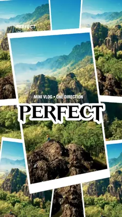 PERFECT | MINIVLOG