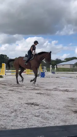 best boy ⚠️FAKE⚠️