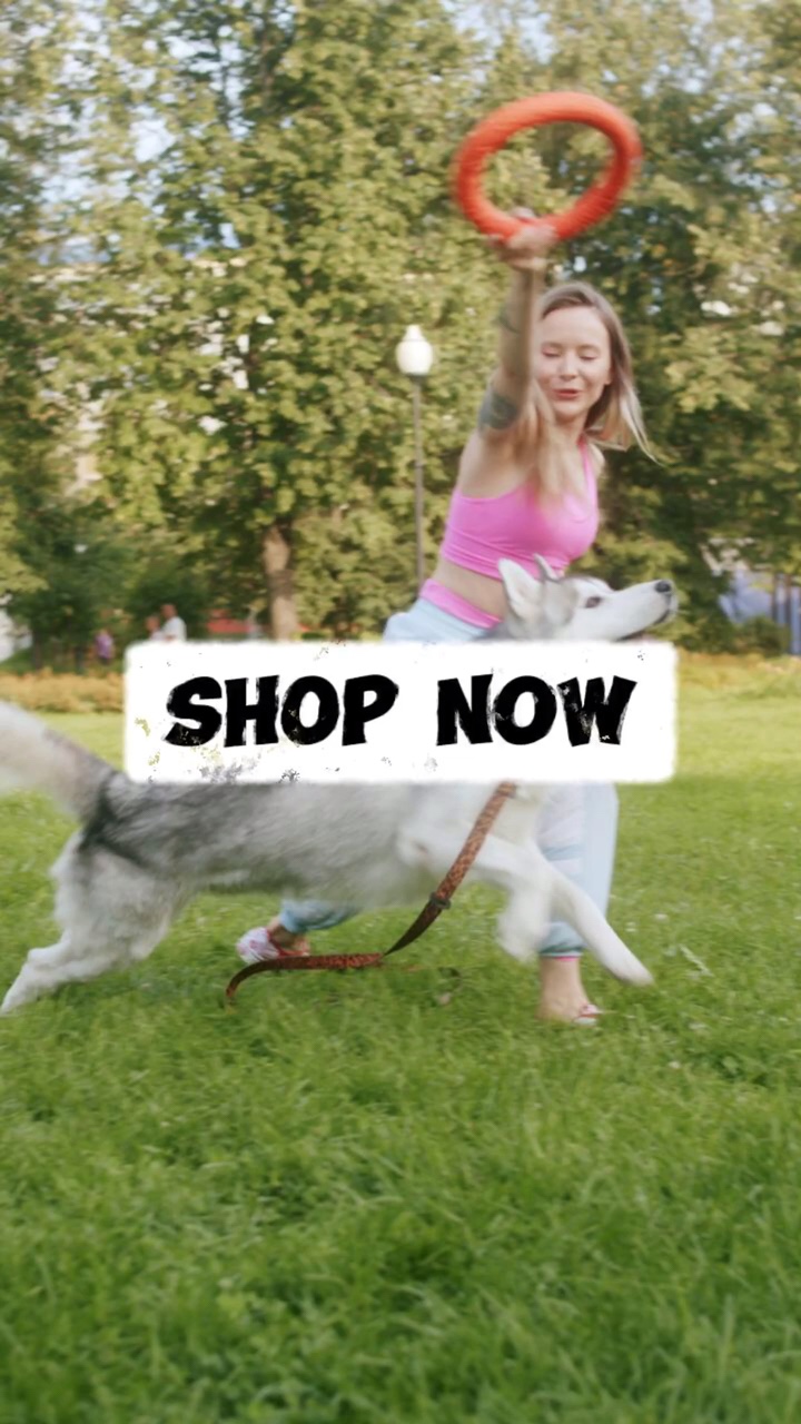 Hundespielzeug Promotion Vorlage TikTok Style