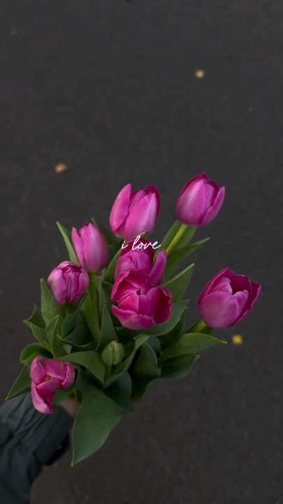 j'aime les fleurs