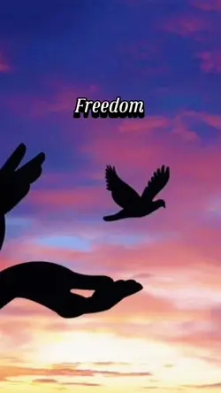 Freedom