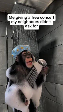 giving free concert 