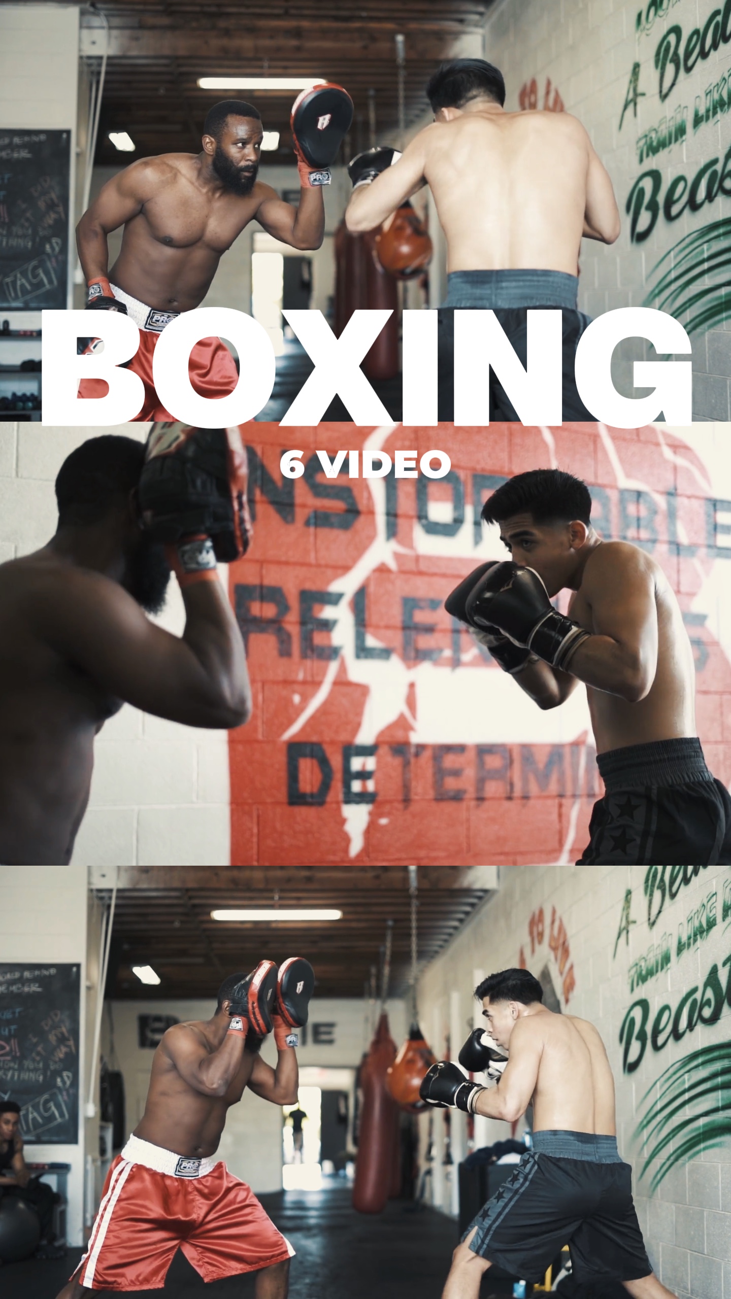 Boxeo 6 Video