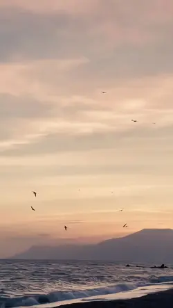 CINNAMON GIRL 5 CLIP