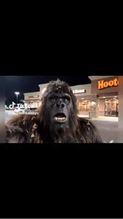 BIGFOOT VLOGS