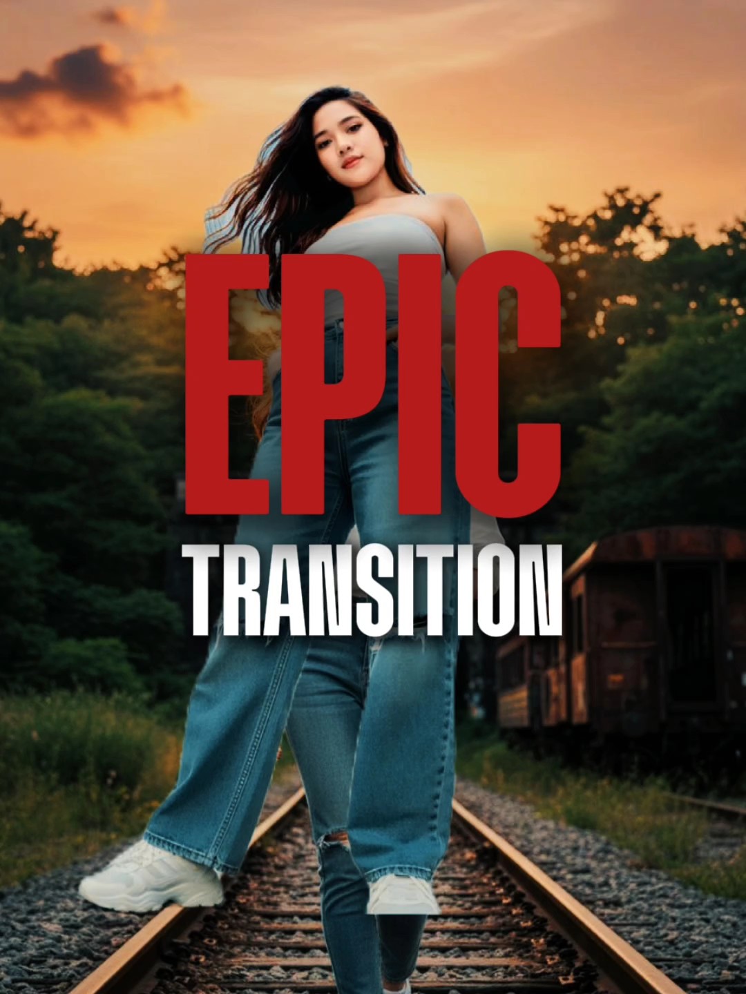 catout transition 