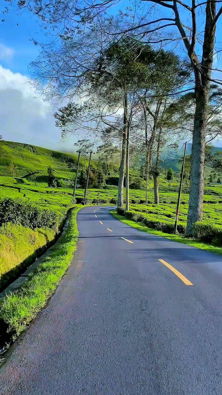 6 vídeos de viagem 