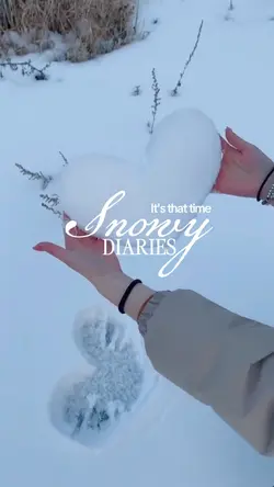 Snowy diaries