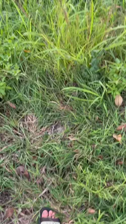 สดใสเวอร์ ท้องฟ้าสวย