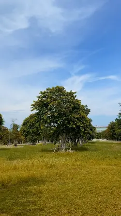 Mẫu 7 video