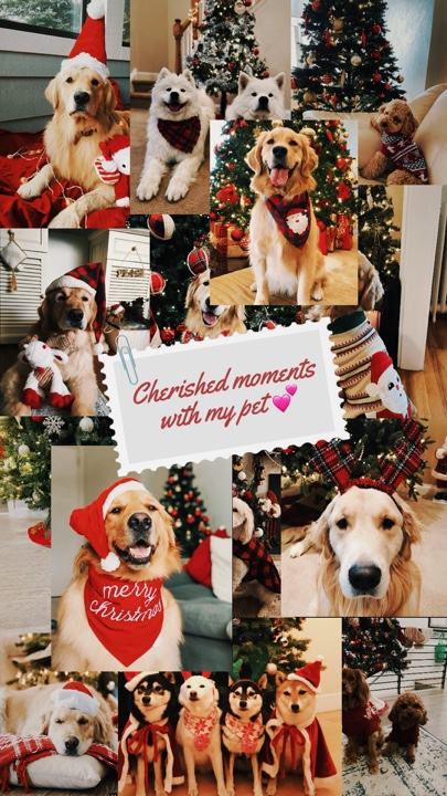 Natal meu animal de estimação