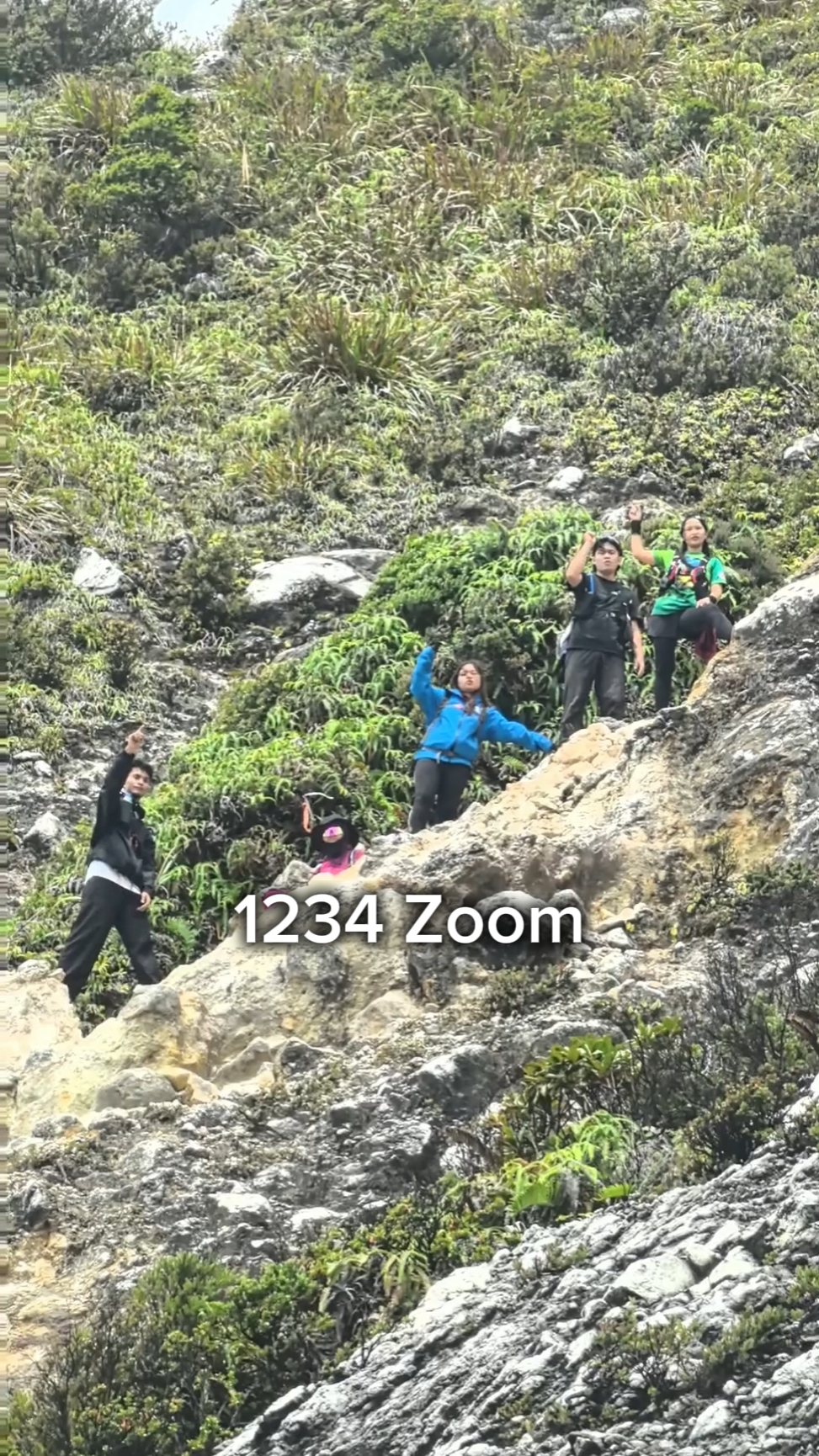 Zoom 1234