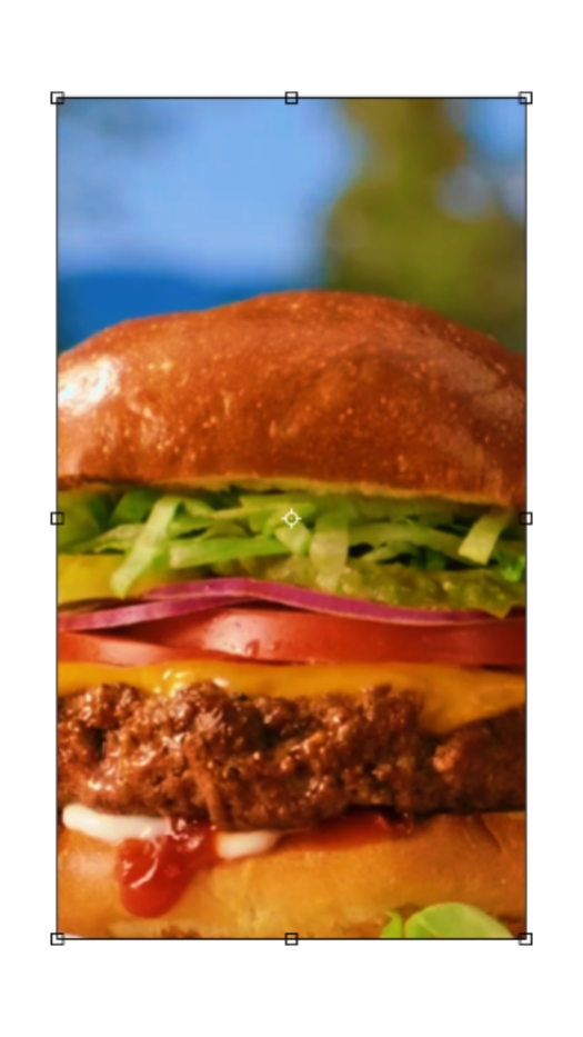 05 Cheese Burger