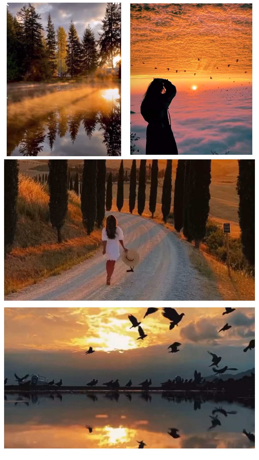 Cinematic aesthetic