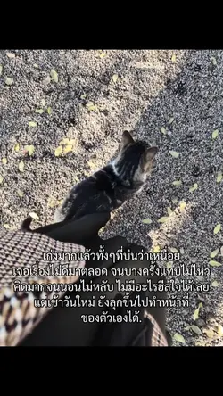 เก่งมากแล้ว