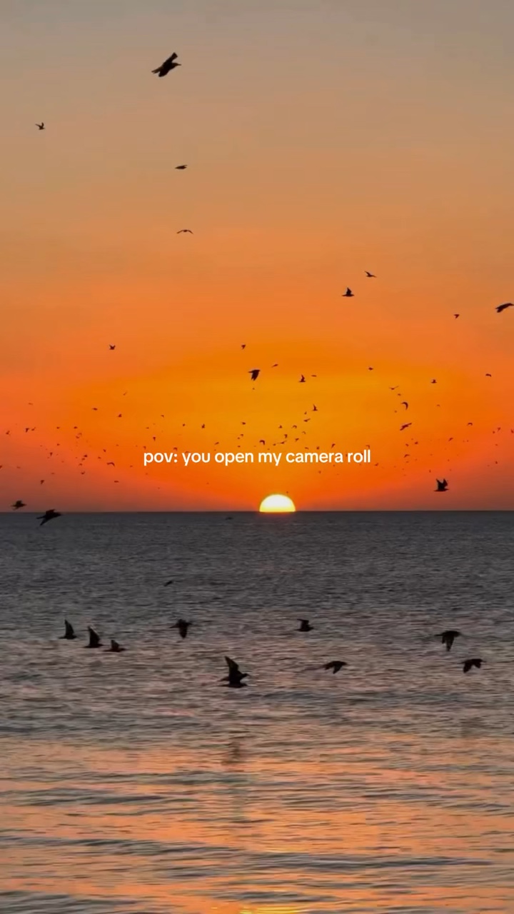 pov : ma pellicule