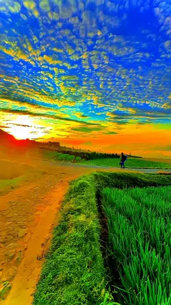 filter hd jernih