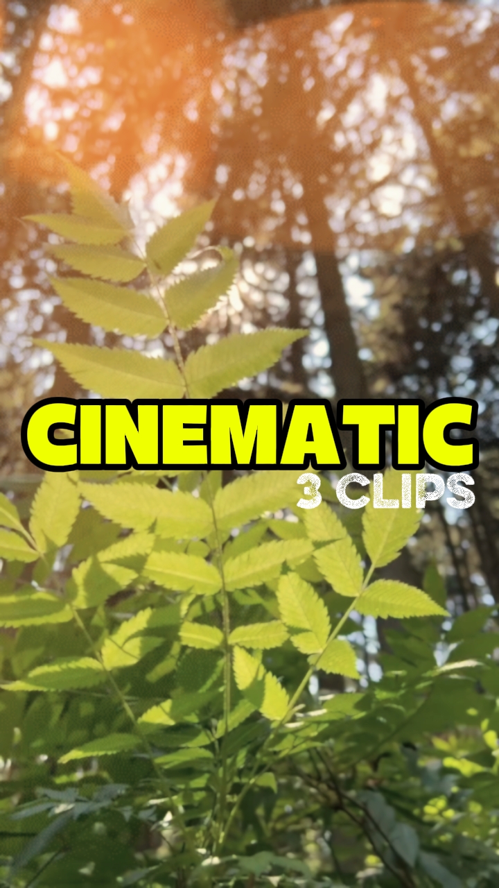 CINEMATIC 3 CLIPS 
