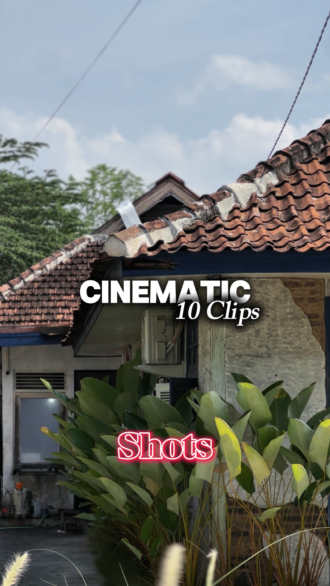 SHOTS 10 CLIPS